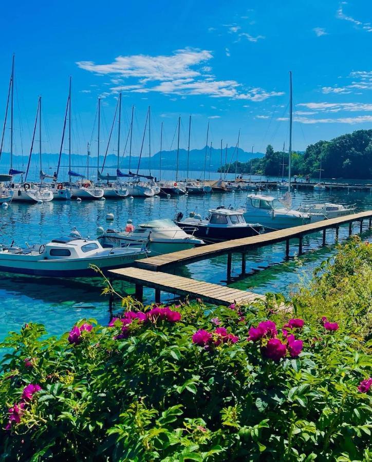 Appartement Le Leman เอ็กเซเนเวกซ์ ภายนอก รูปภาพ