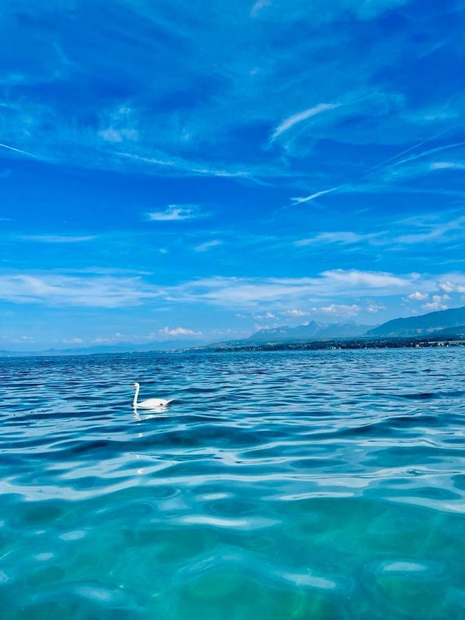 Appartement Le Leman เอ็กเซเนเวกซ์ ภายนอก รูปภาพ